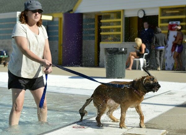 Leeds Pooch Paddle